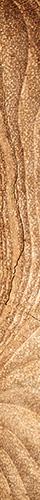 Texture